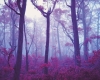 163-red-mist