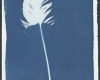 002 Feather